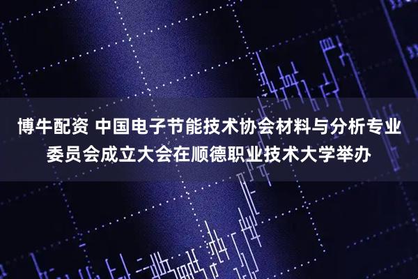 博牛配资 中国电子节能技术协会材料与分析专业委员会成立大会在顺德职业技术大学举办