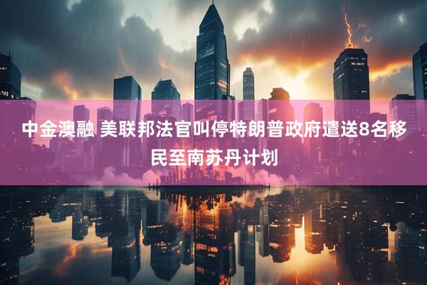 中金澳融 美联邦法官叫停特朗普政府遣送8名移民至南苏丹计划