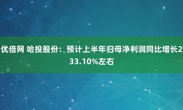 优倍网 哈投股份：预计上半年归母净利润同比增长233.10%左右