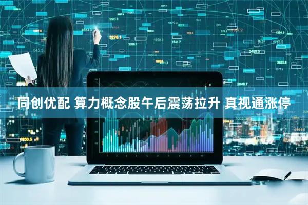 同创优配 算力概念股午后震荡拉升 真视通涨停