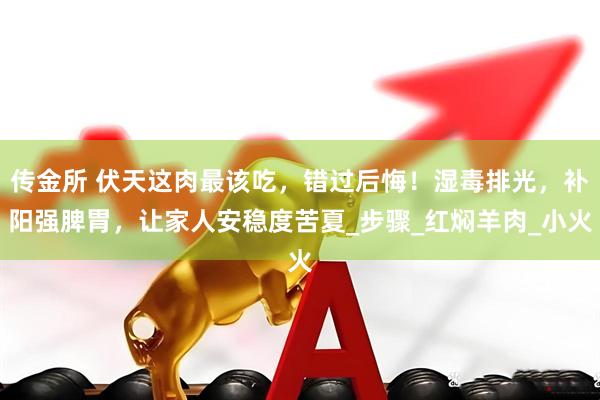 传金所 伏天这肉最该吃，错过后悔！湿毒排光，补阳强脾胃，让家人安稳度苦夏_步骤_红焖羊肉_小火