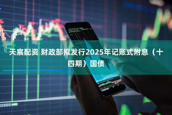 天宸配资 财政部拟发行2025年记账式附息（十四期）国债